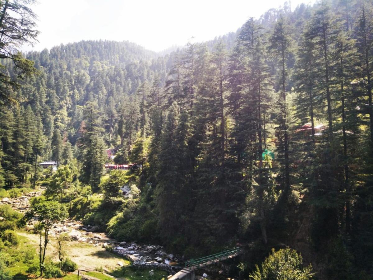 The Himalayan Heaven Lägenhet Jibhi Exteriör bild
