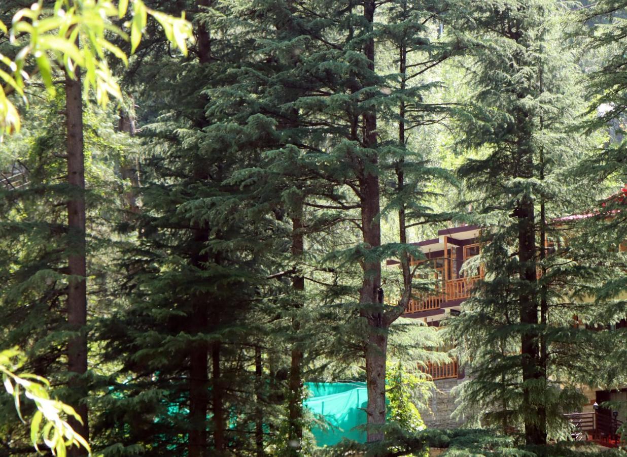 The Himalayan Heaven Lägenhet Jibhi Exteriör bild